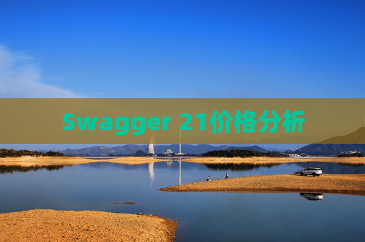 Swagger 21价格分析